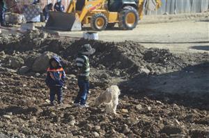 El Alto brn og en hund i vejkanten
