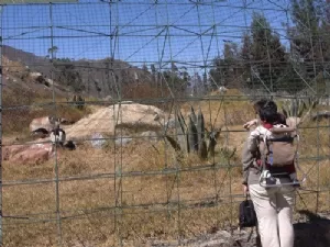 Dag 6 Store Tutu´er