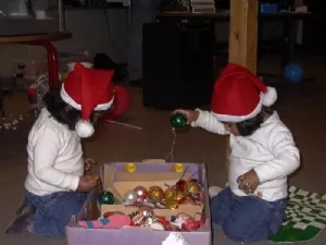 Hvad mon de skal bruges til???