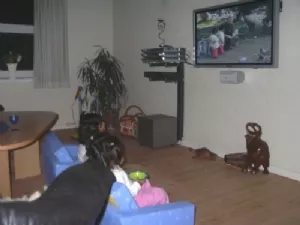 Bolivia-filmen er et hit