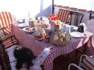 Morgenbordet til fødselarerne