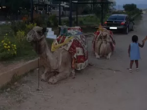 Tyrkiske "karameller"