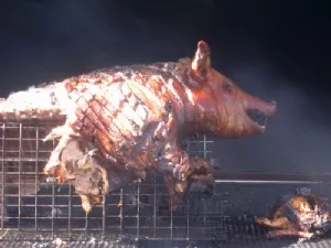 ... og nej, - dette er en anden gris!