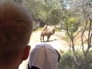 Og en spansk karamel!