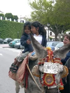 Maria, - jeg skal nok passe på dig!