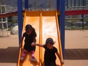 Vi skal gå hånd i hånd gennem...