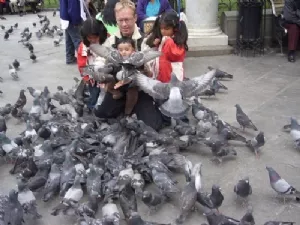 Der er altså mange duer, far