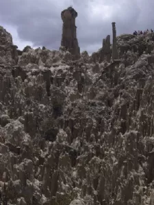 Sombrero de la Dama (Lady's hat)