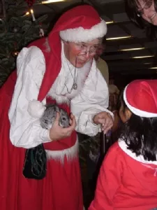 Christina snakker med nissemor