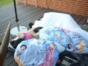 Vi sov på terrassen i en uge i juli