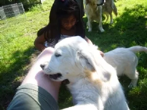 Første møde med Zanto