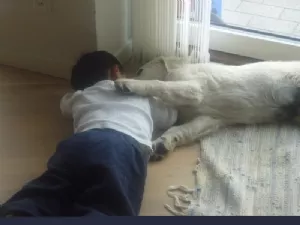 Mig og Zanto er bedste venner