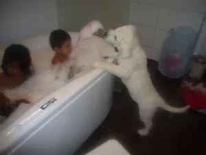 Zanto vil gerne med i bad