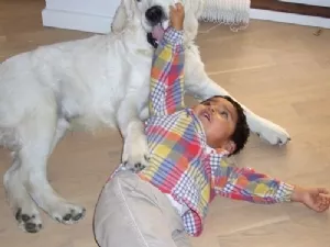 Sebastian og Zanto i leg