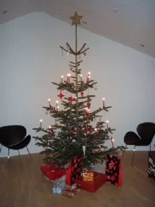 Juletræet med sin pynt...