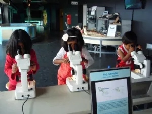 På besøg på Nordsømuseet