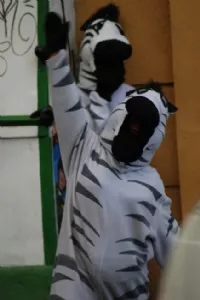 Zebra som dirigere trafikken