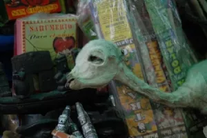 Lamafoster til indmuring i muren