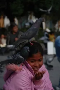 En Bolivianitos med et par duer