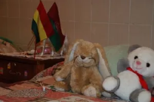 Bamser og Bolivias flag