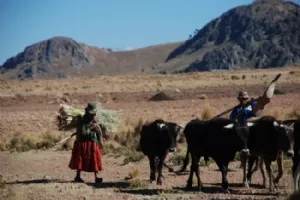 Som at komme tilbage i tiden