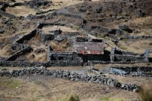 En lamafarm lidt ude på landet