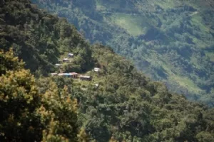 Naturen forandrede sig fuldstændig