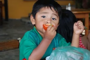 Sebastian vil hellere have en tomat