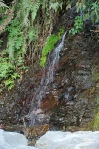 Lidt kildevad er der tilbage, men det står slemt til