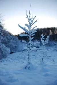 Men det var også flot