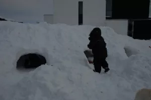 Og så kunne vi bygge snehule i haven