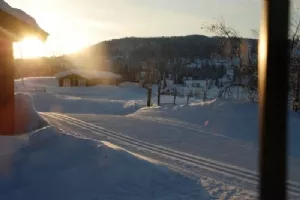 Udsigten fra hytten. Lige ud til løjpen - perfekt!