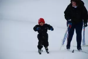 Fin stil - uden stave