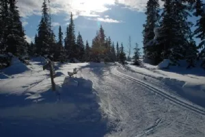 Se lige et landskab - lise for sjælen