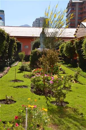 Haven i med smukke blomster og træer