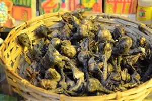 Lamakid for held og lykke