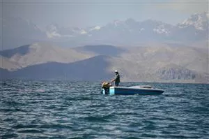 Fiskeri med net fra båd