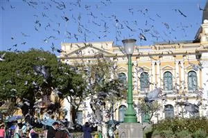 Plaza Murillo og duerne