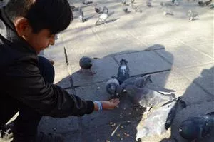 Sebastian fodrer duer